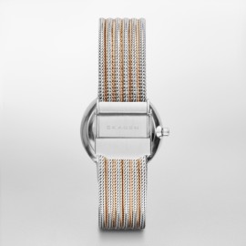 Skagen 355SSRS              